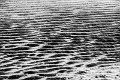 Bevroren strand (3)